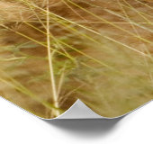 Lion Cub & Mother Poster (Ecke)