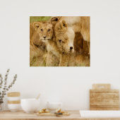Lion Cub & Mother Poster (Küche)