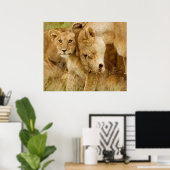 Lion Cub & Mother Poster (Heimbüro)