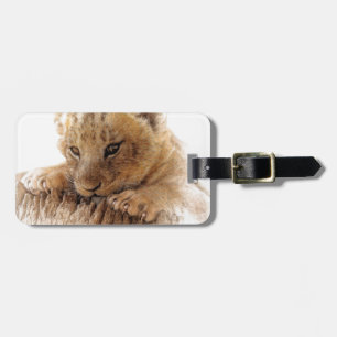 Lion cub nahe niedliche Augen aussehen Gepäckanhänger