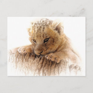 Lion cub nahe niedliche Augen aussehen Postkarte
