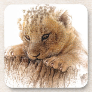 Lion cub nahe niedliche Augen aussehen Untersetzer