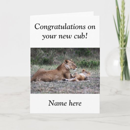 Lion cub neue Baby Gratulations Karte (Vorderseite)