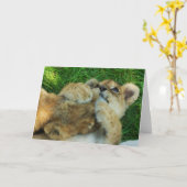 Lion Cub Note Card 4 Karte (Gelbe Blume)