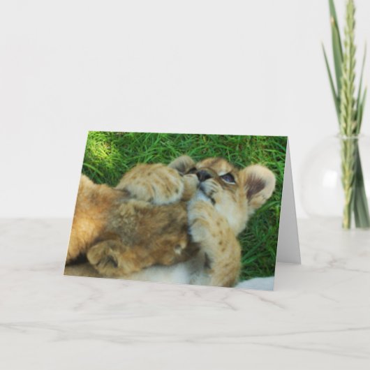 Lion Cub Note Card 4 Karte (Vorderseite)