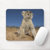 Lion Cub (Panthera Leo) sitzend auf Sand, Namibia Mousepad (Mit Mouse)