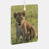Lion Cub Personalisieren Name oder Text & Datum We Ornament Aus Metall (Vorderseite Rechts)