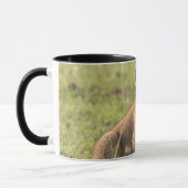 Lion Cub Personalize Name Black Interior Geschenk Tasse (Links)