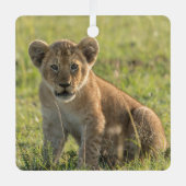 Lion Cub Personalize Name Foto Christmas Ornament Aus Metall (Vorderseite)