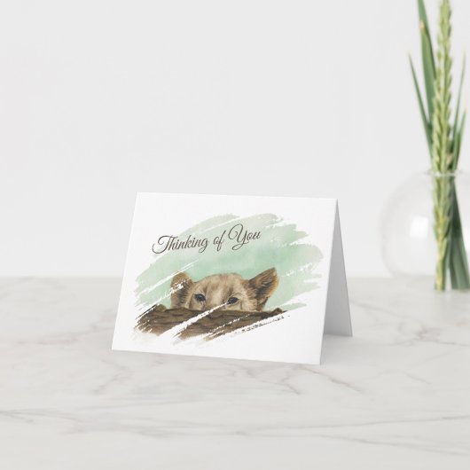 Lion Cub Pinkeln über eine Protokollnotierkarte Dankeskarte (Vorderseite)