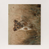 Lion Cub pinkelt durch das Grass Jigsaw Puzzle (Vertikal)