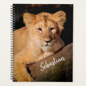 Lion Cub Planer (Vorderseite)
