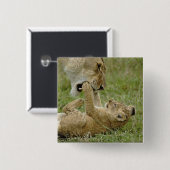 Lion Cub Playing Button (Vorne & Hinten)
