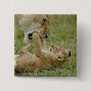 Lion Cub Playing Button