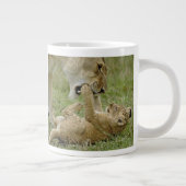 Lion Cub Playing Jumbo-Tasse (Rechts)
