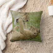 Lion Cub Playing Kissen (Decke)