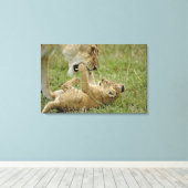 Lion Cub Playing Leinwanddruck (Insitu (Holzboden))