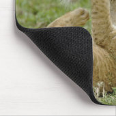 Lion Cub Playing Mousepad (Ecke)