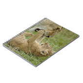 Lion Cub Playing Notizblock (Linke Seite)
