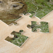 Lion Cub Playing Puzzle (Seite)