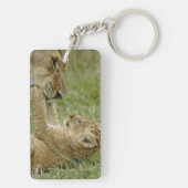 Lion Cub Playing Schlüsselanhänger (Rückseite)
