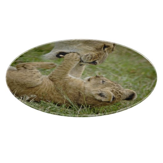 Lion Cub Playing Schneidebrett (Ecke)