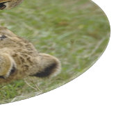 Lion Cub Playing Schneidebrett (Ecke)