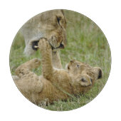 Lion Cub Playing Schneidebrett (Vorderseite)