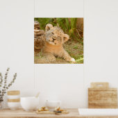 Lion Cub Poster (Küche)