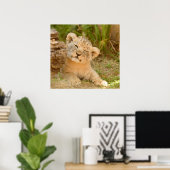 Lion Cub Poster (Heimbüro)