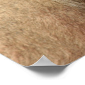 Lion Cub Poster (Ecke)