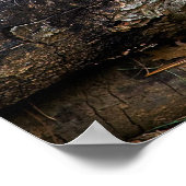 Lion Cub Poster (Ecke)