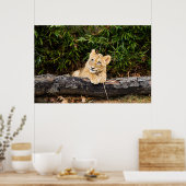 Lion Cub Poster (Küche)