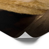 Lion Cub Poster (Ecke)