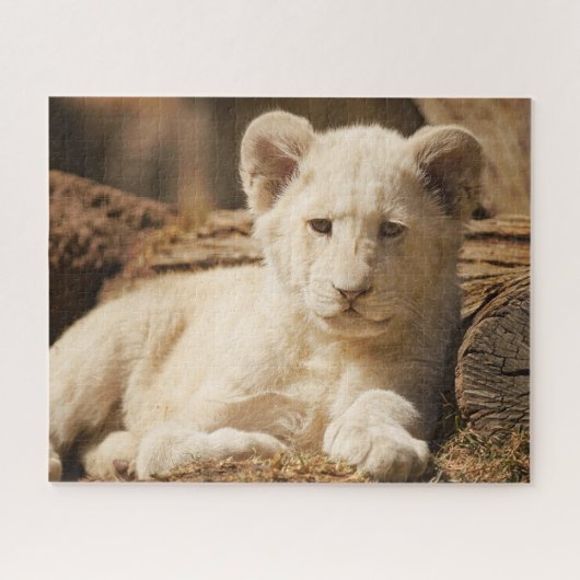 Lion Cub Puzzle (Horizontal)