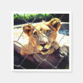 Lion Cub Serviette (Vorderseite)