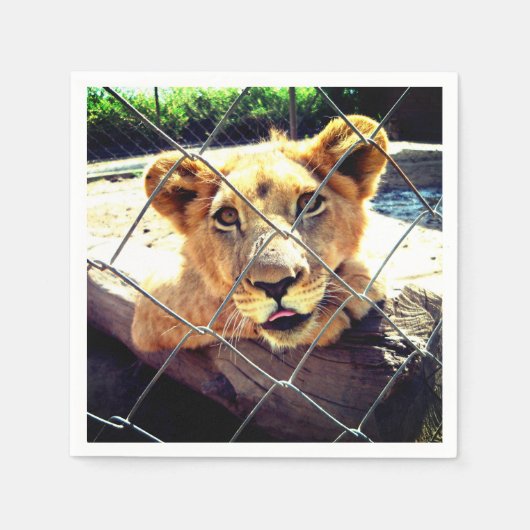 Lion Cub Serviette (Vorderseite)
