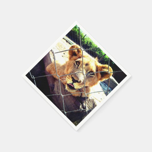 Lion Cub Serviette (Ecke)