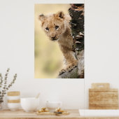 Lion Cub up a tree in Tansania Poster (Küche)