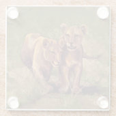 Lion Cubs Art Glasuntersetzer (Rückseite)