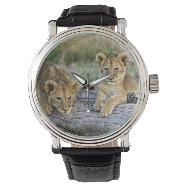 Lion Cubs auf Log Armbanduhr (Vorderseite)