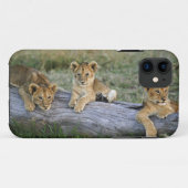 Lion Cubs auf Log Case-Mate iPhone Hülle (Rückseite (Horizontal))