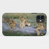 Lion Cubs auf Log Case-Mate iPhone Hülle (Rückseite (Horizontal))
