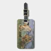 Lion Cubs auf Log Gepäckanhänger (Vorderseite vertikal)