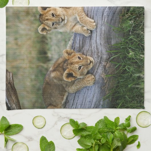 Lion Cubs auf Log Geschirrtuch (Gefaltet)