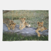 Lion Cubs auf Log Geschirrtuch (Horizontal)