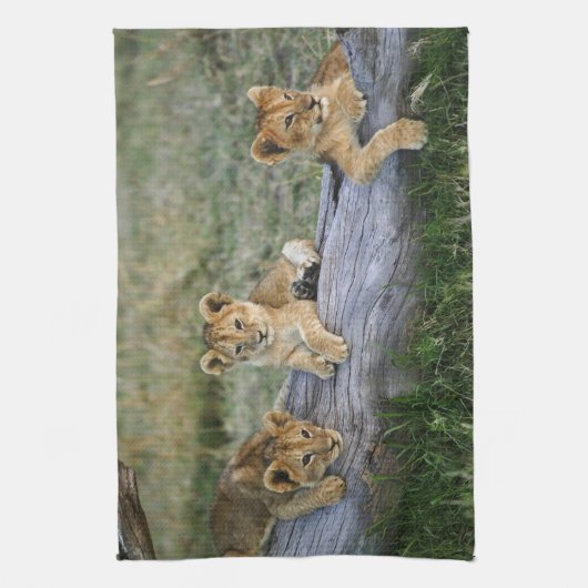 Lion Cubs auf Log Geschirrtuch (Vertikal)