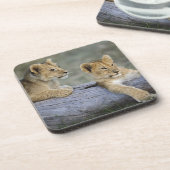 Lion Cubs auf Log Getränkeuntersetzer (Linke Seite)