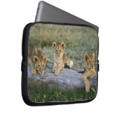 Lion Cubs auf Log Laptopschutzhülle (Vorne Rechts)