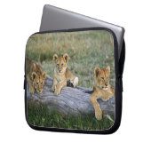 Lion Cubs auf Log Laptopschutzhülle (Vorderseite Links)